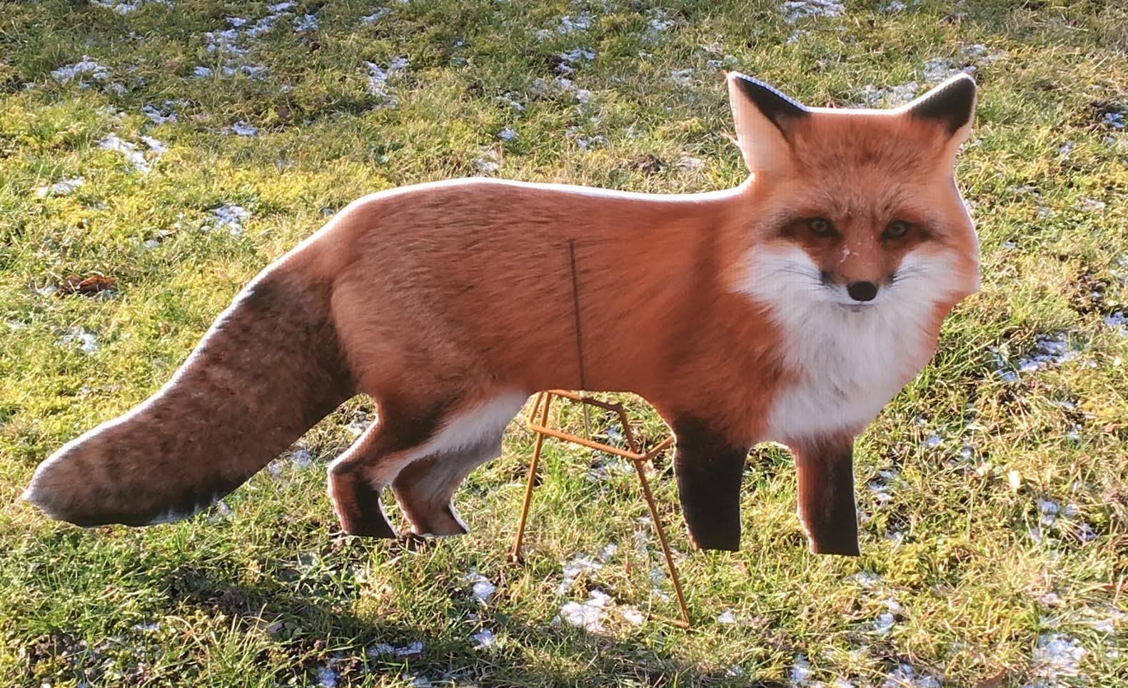 Fox decoy in grass